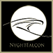 NyghtVision Magazine Logo