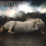 NyghtVision-10-3 Cover